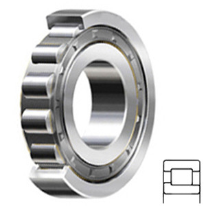 NTN NJ309EV11 Cylindrical Roller Bearings