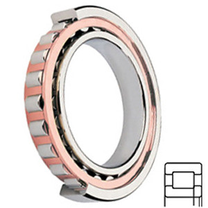 FAG BEARING NUP2315-E-TVP2 Cylindrical Roller Bearings