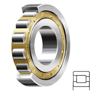 NTN NF309G1C4 Cylindrical Roller Bearings