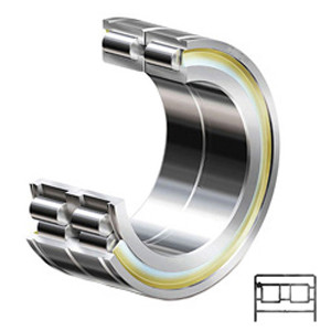 INA SL185020-C3 Cylindrical Roller Bearings