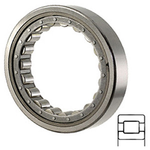 NTN W61312EX Cylindrical Roller Bearings