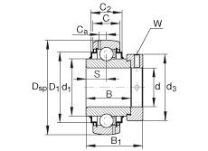 Bearing G1008-KRR-B-AS2/V INA