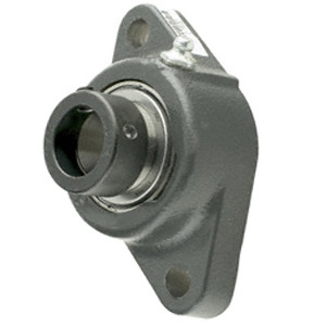 INA LCJT25-N Flange Block Bearings