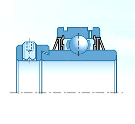 Bearing UELS308D1N NTN