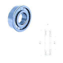 Bearing NUP2205FM/C3 Fersa