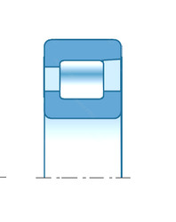 Bearing RNF1923 NTN