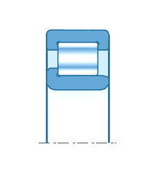 Bearing RNJ0522V NTN