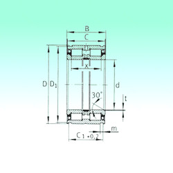 Bearing SL04220-PP NBS