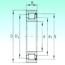 Bearing SL183072 NBS