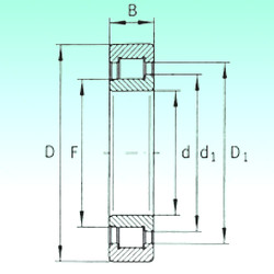 Bearing SL192305 NBS