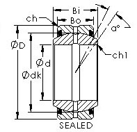 Bearing GEZ304ES-2RS AST