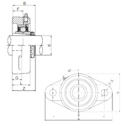 Bearing UKFL205 CX