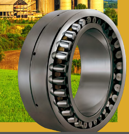 Bearing NCF1838V