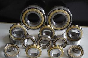 Rexroth hydraulic pump bearings  F-207407.2