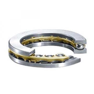 INA EW1/2-M Thrust Ball Bearing