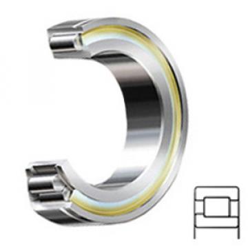 INA SL192317-C3 Cylindrical Roller Bearings