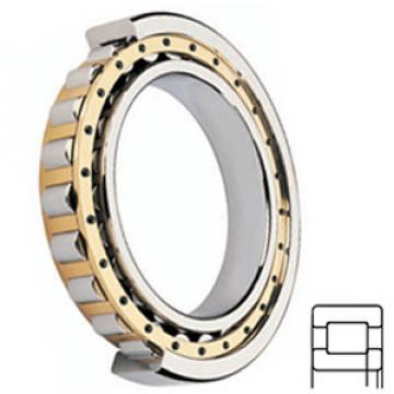 FAG BEARING NUP2324-E-M1-C3 Cylindrical Roller Bearings