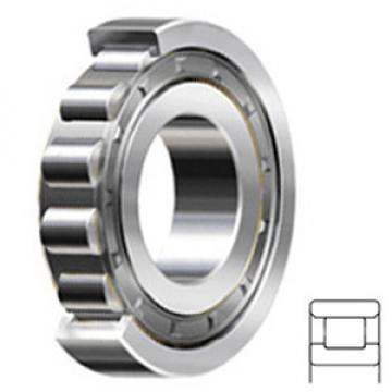 NSK N206W Cylindrical Roller Bearings