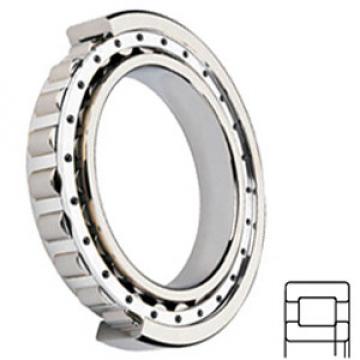 NSK NUP2205W Cylindrical Roller Bearings