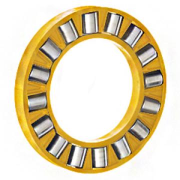 INA K81138-M Thrust Roller Bearing