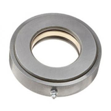 INA RWCT17-Z Thrust Roller Bearing