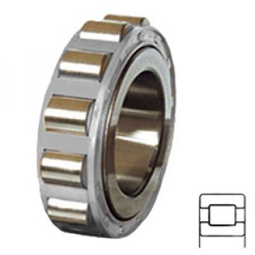 NTN MUX5207X Cylindrical Roller Bearings