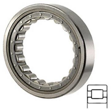 NTN M1012EL Cylindrical Roller Bearings