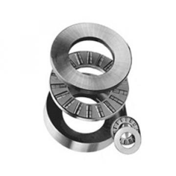 INA RCT17 Thrust Roller Bearing