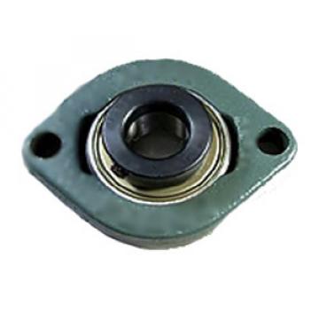 NTN AELFD205-100 Flange Block Bearings