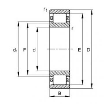 Bearing N240-E-M1 FAG