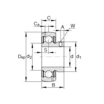 Bearing GAY100-NPP-B-AS2/V INA