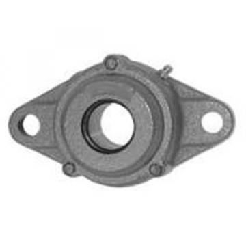 NTN C-UCFL206D1 Flange Block Bearings