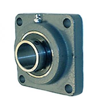 NTN UCFG218D1Y-480 Flange Block Bearings