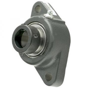 INA LCJT50-N Flange Block Bearings