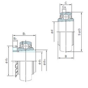 Bearing UKX10+H2310 NACHI