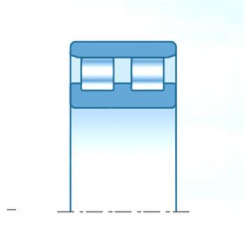 Bearing NN3028C1NAP4 NTN