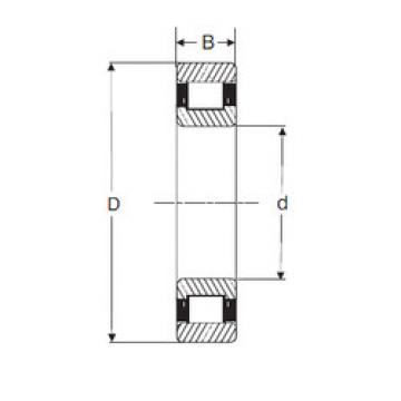 Bearing RXLS 1.1/2 SIGMA