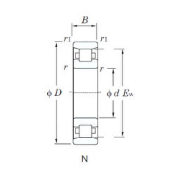 Bearing N260 KOYO