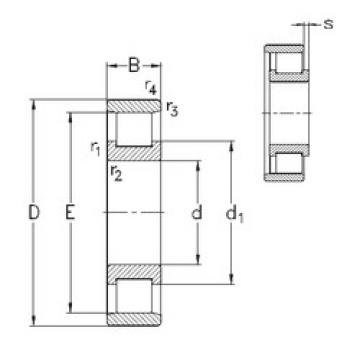 Bearing N336-E-M6 NKE