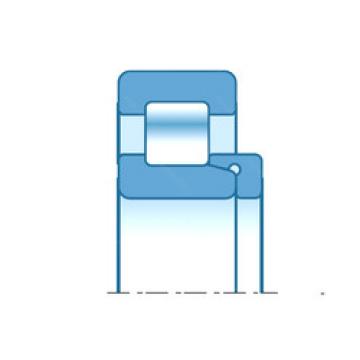 Bearing RNH213 NTN