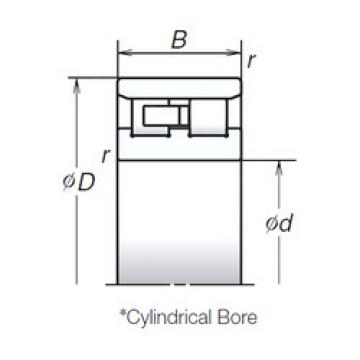 Bearing NN3036MB NSK