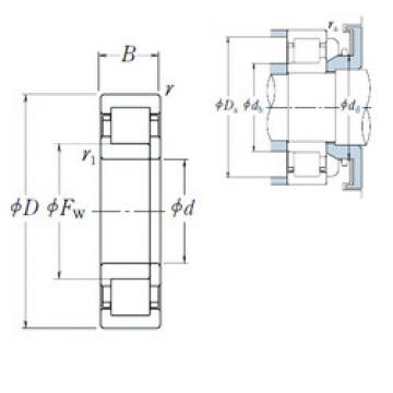 Bearing NUP2204 ET NSK