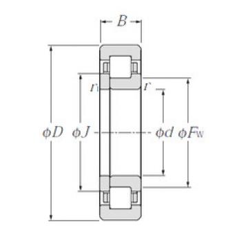 Bearing NUP206E NTN