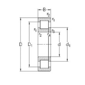 Bearing NUP205-E-MPA NKE