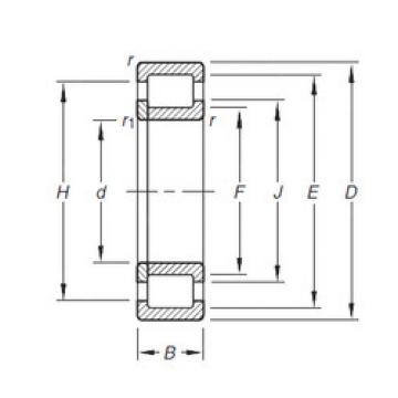 Bearing NUP203E.TVP Timken