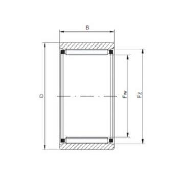 Bearing RNAO100x120x30 CX