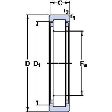 Bearing RNU 1017 ML SKF