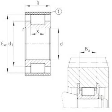 Bearing RSL183005-A INA