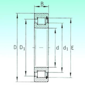 Bearing SL181844 NBS