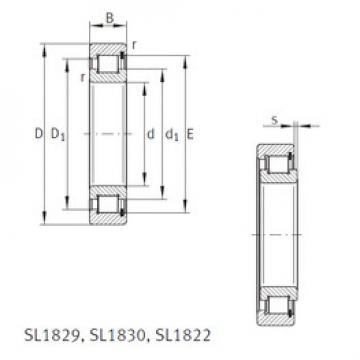 Bearing SL181896-E INA